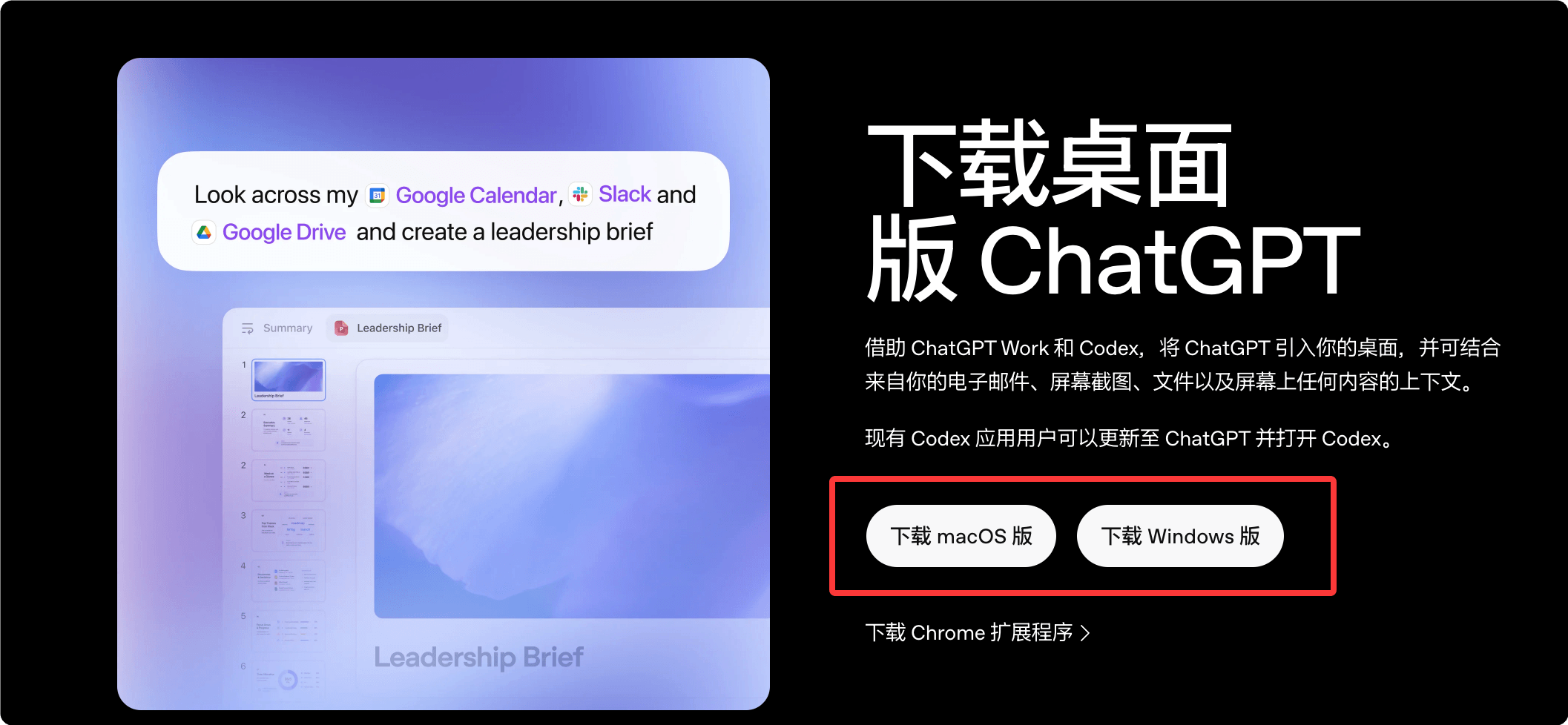Codex 安装界面示例 1