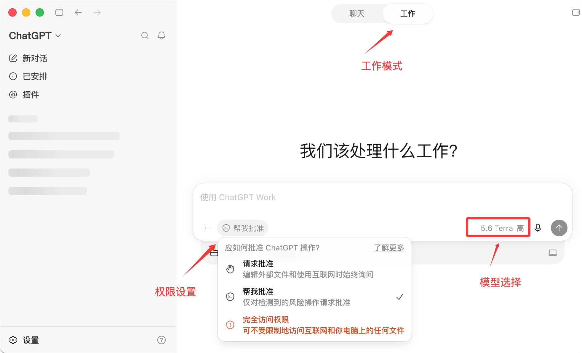 Codex 安装界面示例 3